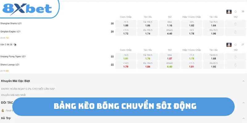 Bảng kèo bóng chuyền sôi động
