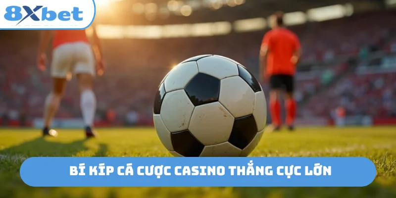 Bí kíp cá cược casino thắng cực lớn