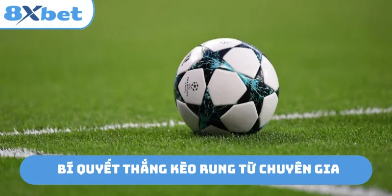 Bí quyết thắng kèo rung từ chuyên gia