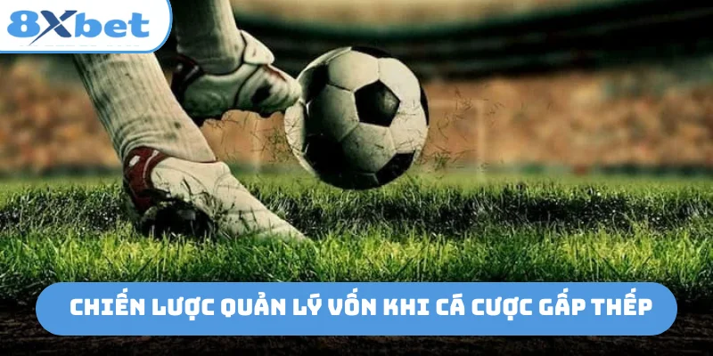Chiến lược quản lý vốn khi cá cược gấp thếp