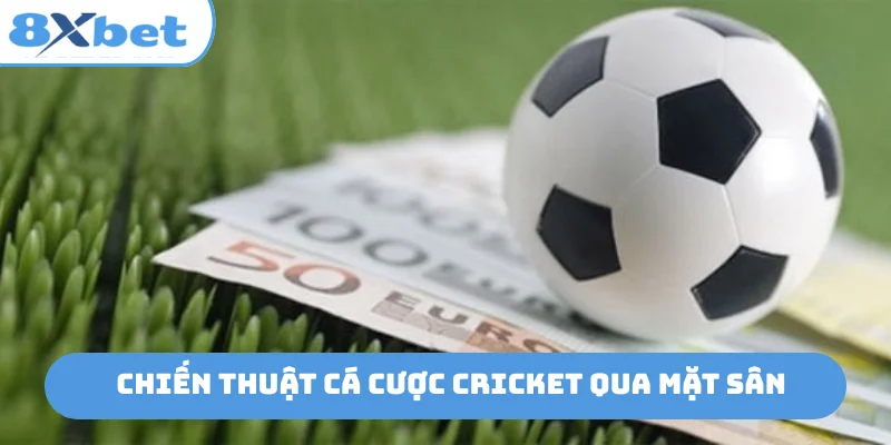 Chiến thuật cá cược cricket qua mặt sân
