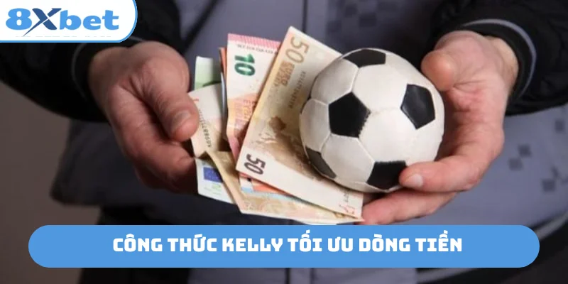 Công thức Kelly tối ưu dòng tiền
