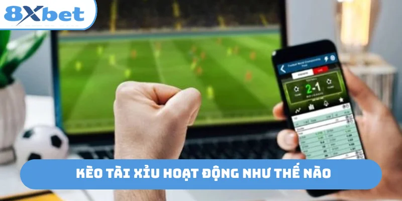 Kèo tài xỉu hoạt động như thế nào