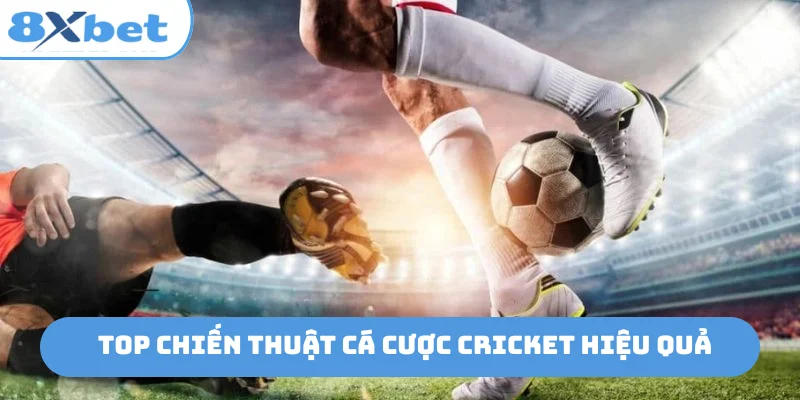 Top chiến thuật cá cược cricket hiệu quả