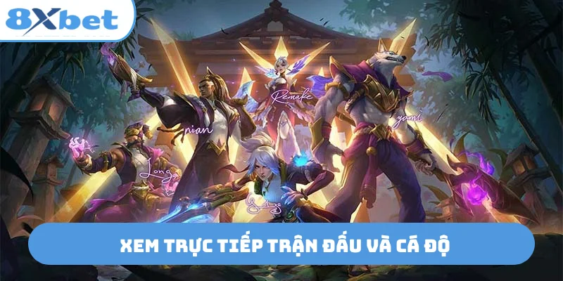 Xem trực tiếp trận đấu và cá độ